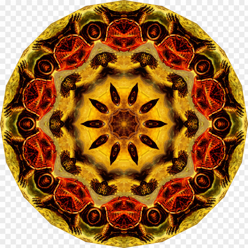 Symmetry Pattern Kaleidoscope Organism Circle M RV & Camping Resort PNG