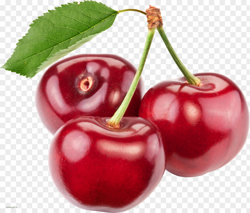 Watercolor Fruit Cherry Clip Art PNG