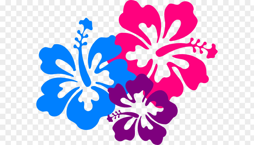 Beautiful Hawaiian Cliparts Flower Clip Art PNG