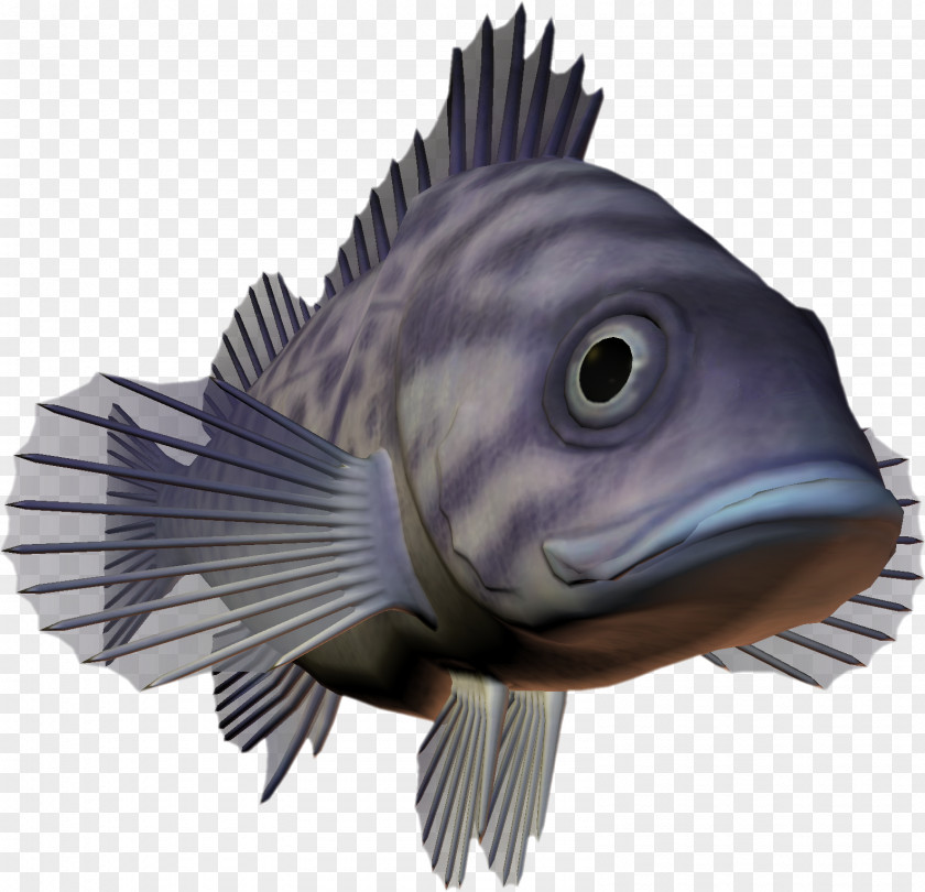 Creatures Fish Deep Sea Creature Seafood Dots Per Inch PNG