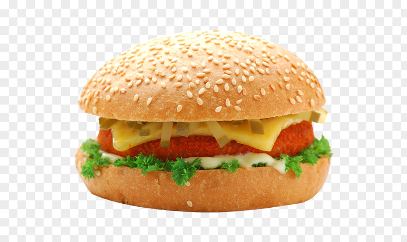 Fish Burger Aloo Tikki Cheeseburger Hamburger French Fries Pizza PNG