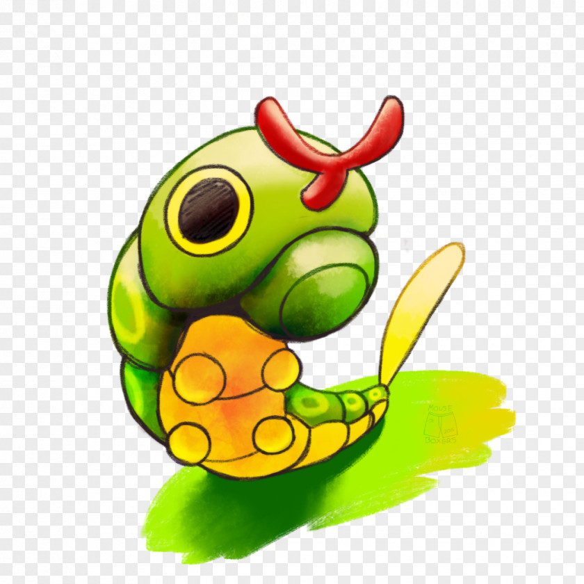 Frog Tree Reptile Insect PNG