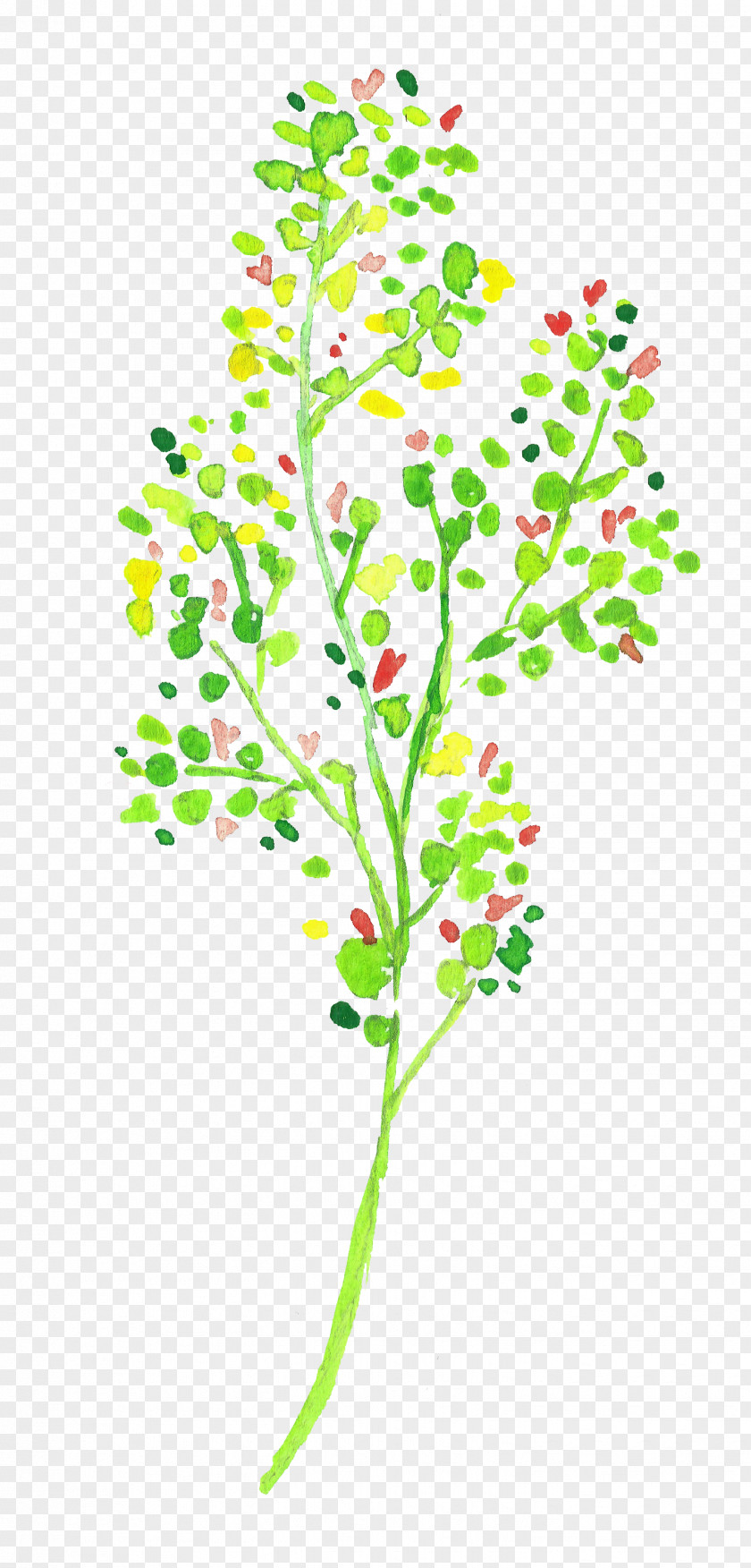 Green Tree Twig Color PNG