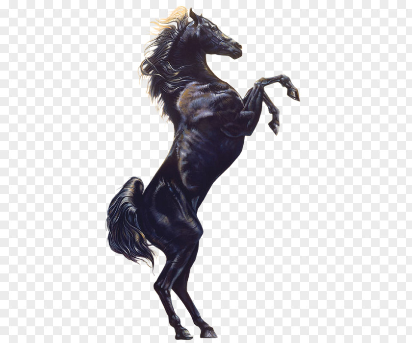 Jumped Horse Icon PNG