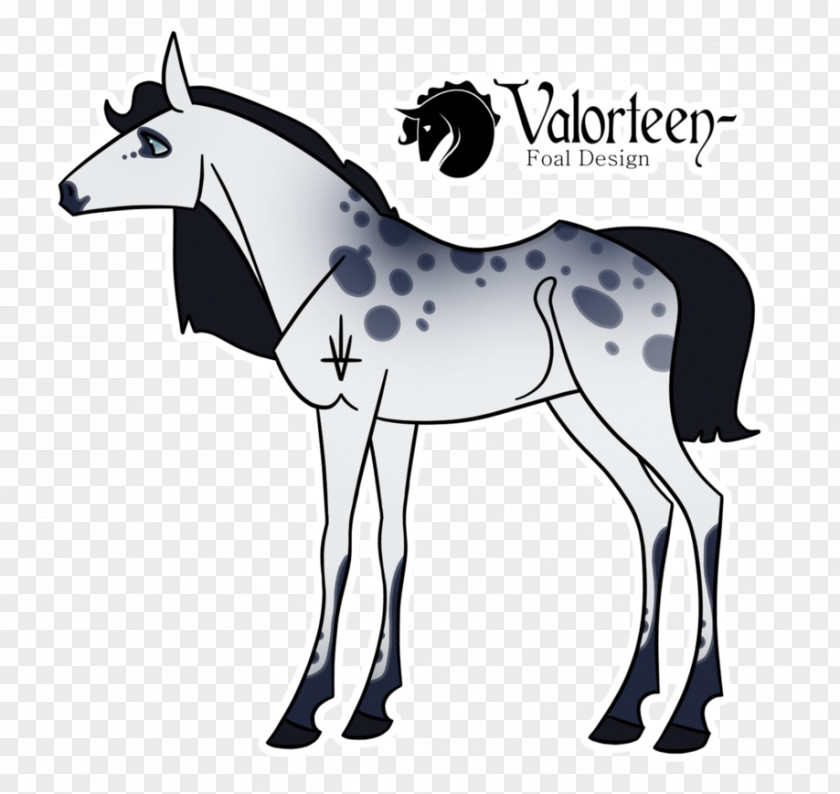 Mustang Mule Foal Stallion Mare PNG