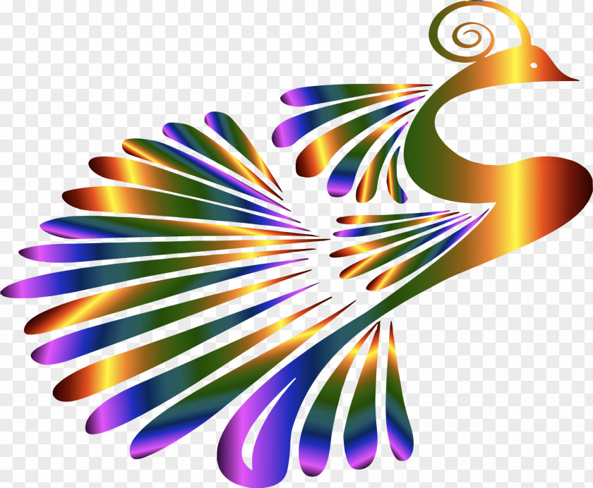 Peacock Bird Peafowl Clip Art PNG