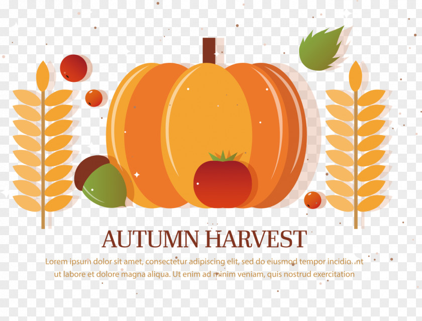 Pumpkin Autumn Harvest Thanksgiving PNG