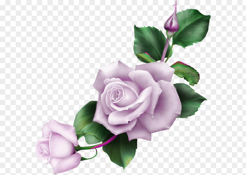 Barra Filigree Blue Rose Drawing Flower Garden Roses PNG