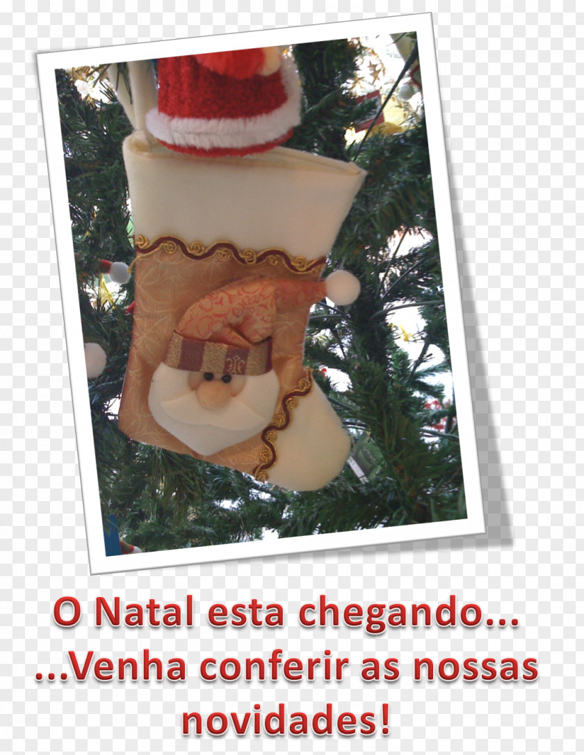 Eucaristia Simbolo Christmas Ornament Universidad Alfa & Omega Campus Venustiano Day Character University PNG