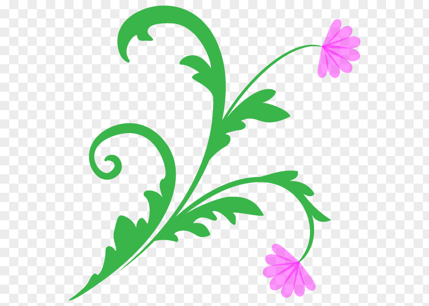 Floral Design Illustration Flower Plants Petal PNG
