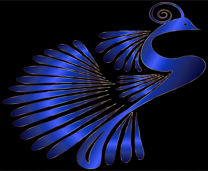 Peacock Color Peafowl Clip Art PNG
