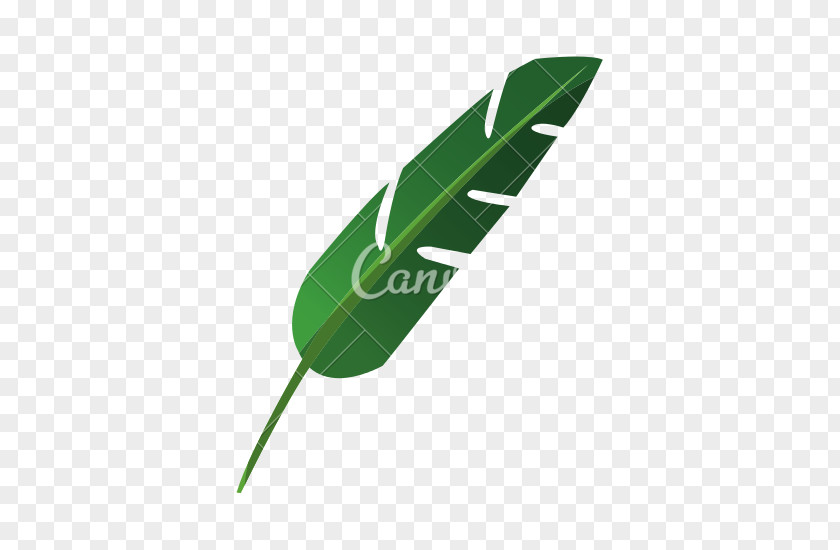 Tropical Leaf Plant PNG