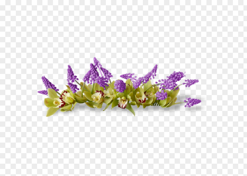 Flower Floral Design PNG