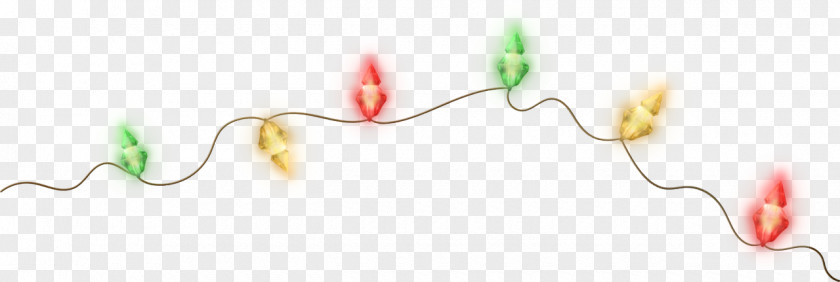 Garland Yellow Christmas Lights Clip Art PNG