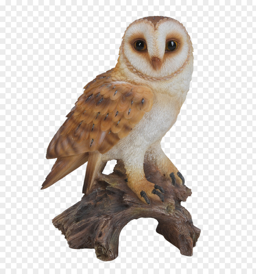The Feature Of Northern Barbecue Barn Owl Border Concepts, Inc. Statue Figurine PNG