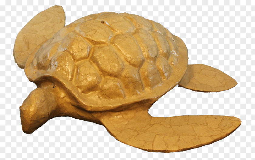 Turtle Bestattungsurne The Ashes Urn Cremation PNG