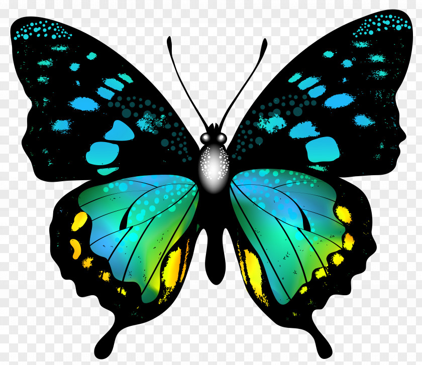 Blue Colorful Butterfly Clip Art Image PNG