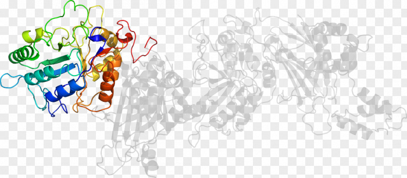 Line Art Graphic Design Cartoon Clip PNG