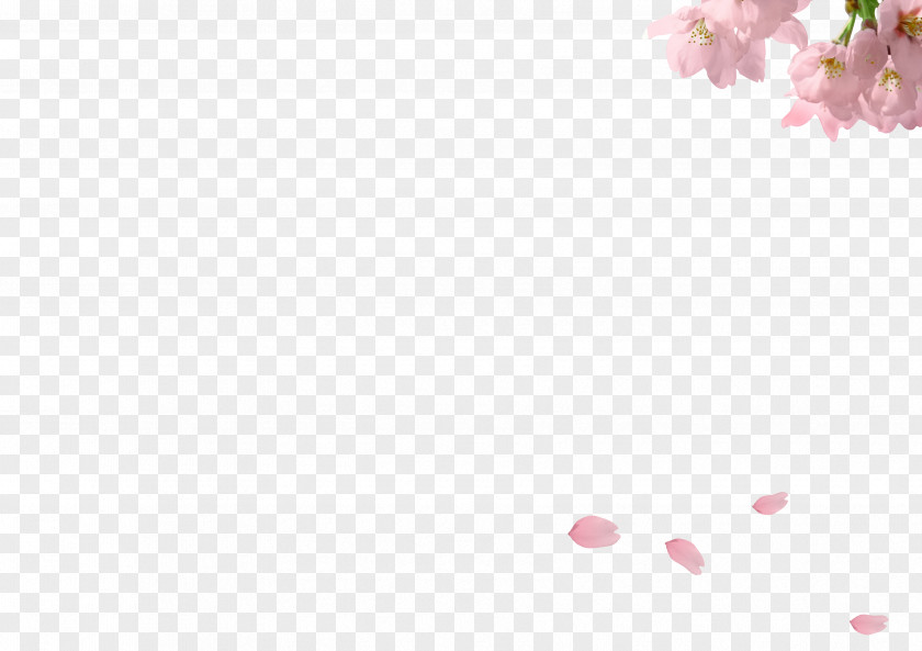 Petals Falling Petal Angle Pink Pattern PNG