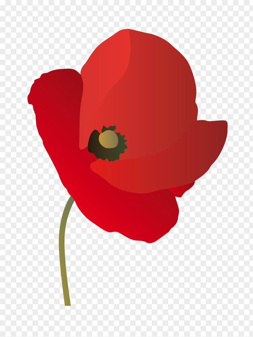 Poppy Common Herbicide Seed Water Pollution PNG