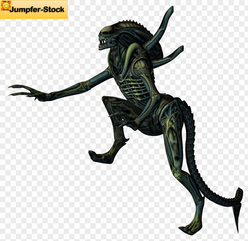 Alien Monster Aliens: Colonial Marines PNG