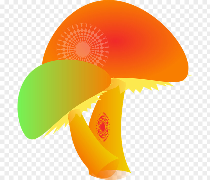 Color Mushrooms Guide To Western Psilocybin Mushroom Common Clip Art PNG