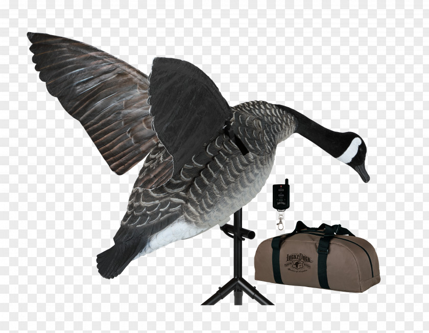 Goose Duck Decoy Mallard Waterfowl Hunting PNG