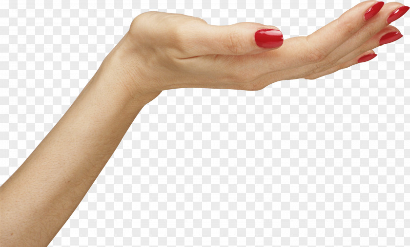 Hands Hand Image Woman Icon PNG