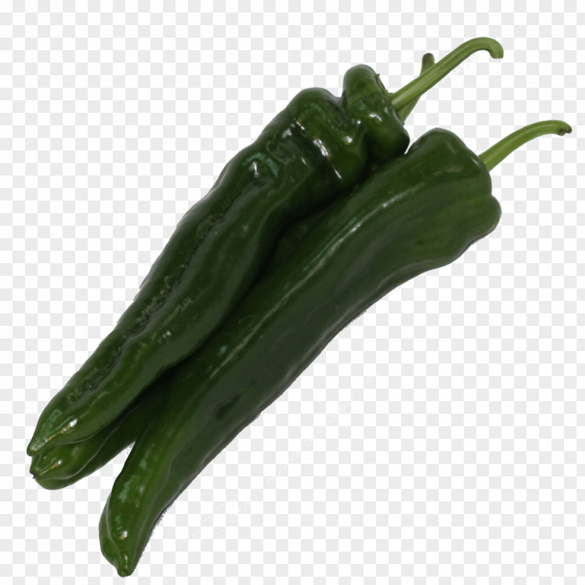 Pimiento Serrano Pepper Pasilla Bell Chili PNG