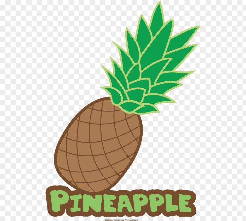 Pineapple Food Drawing Name Clip Art PNG