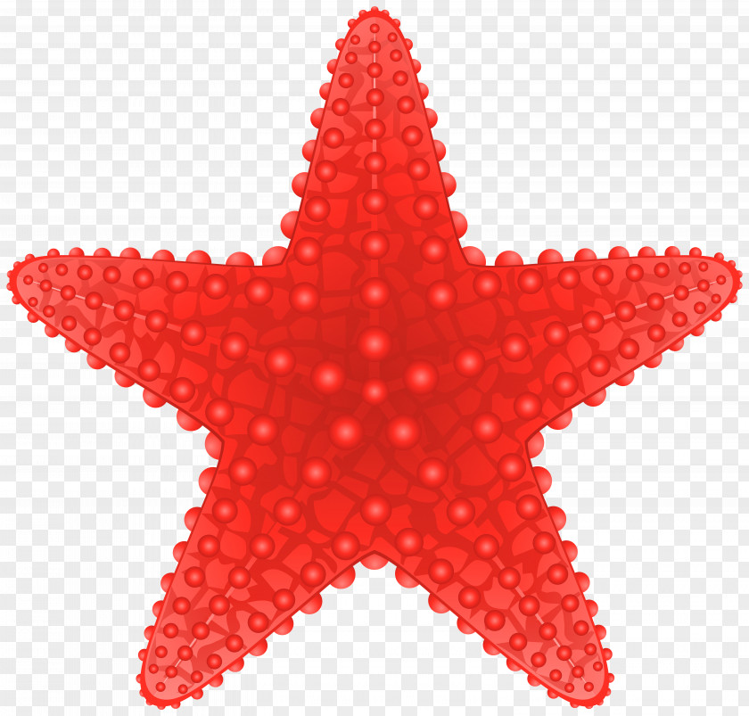 Starfish Cliparts Royalty-free Clip Art PNG