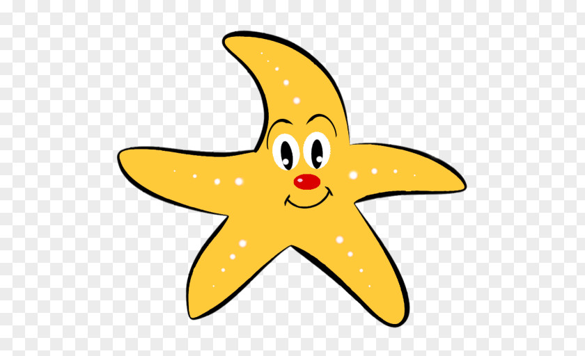Starfish Echinoderm Cartoon Clip Art PNG