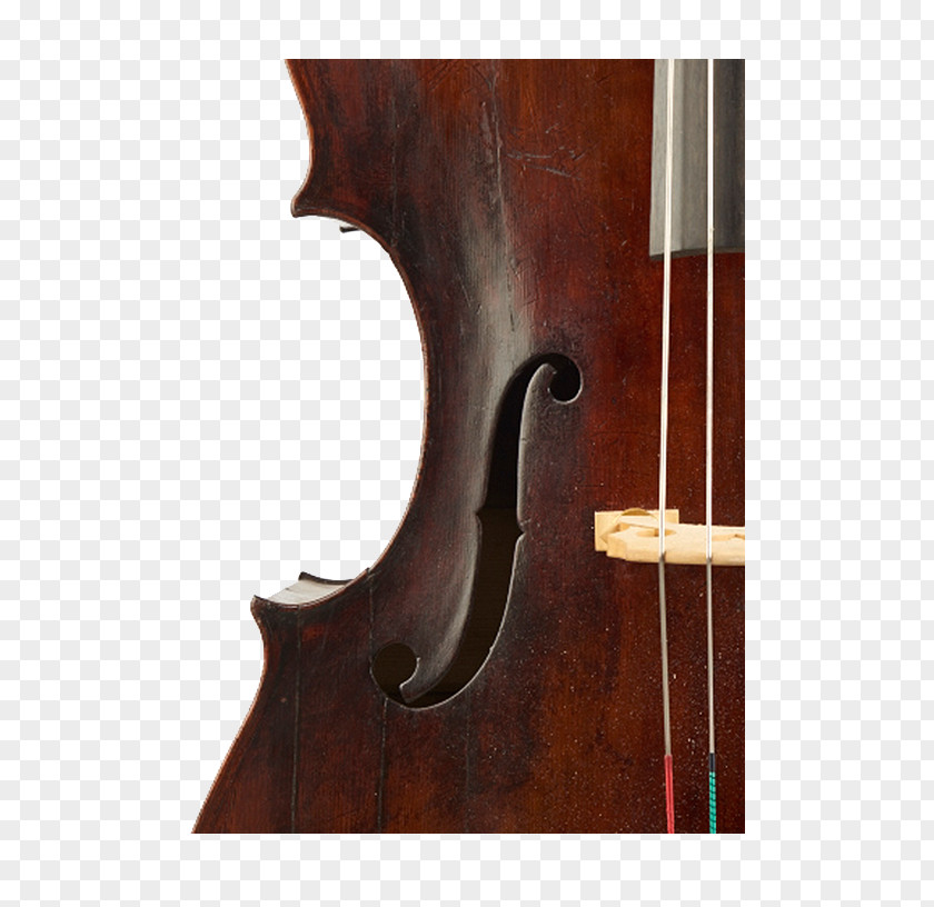 Violin Bass Violone Viola Double Octobass PNG
