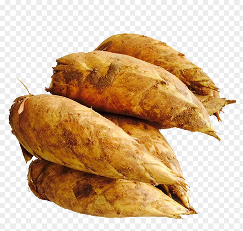 A Pile Of Bamboo Shoots Shoot PNG