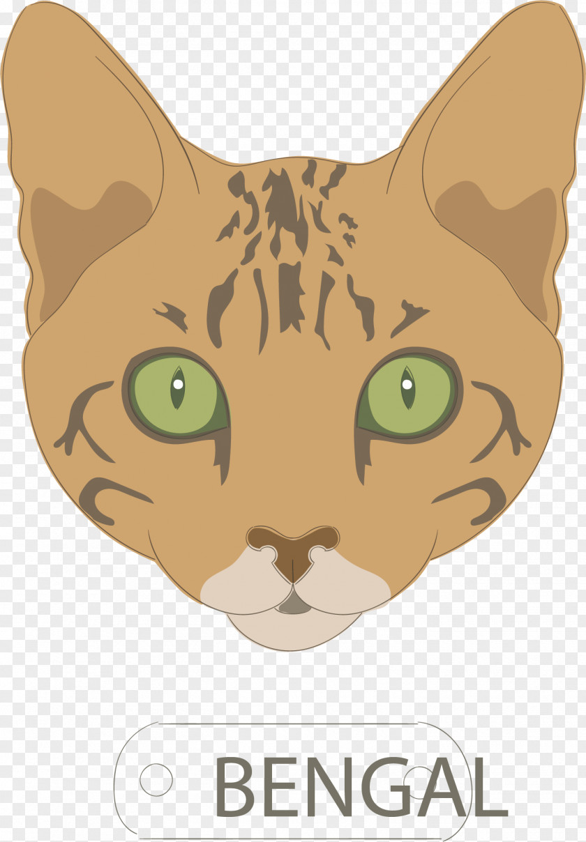 Brown Cat Vector Whiskers Tabby Domestic Short-haired Food PNG