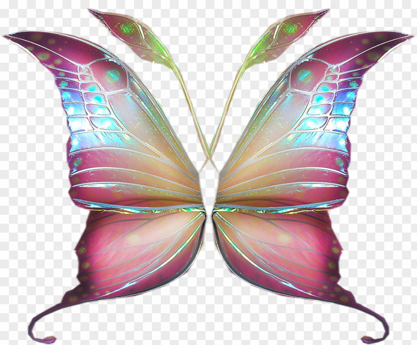 Butterflies Float Symmetry Purple Fairy PNG