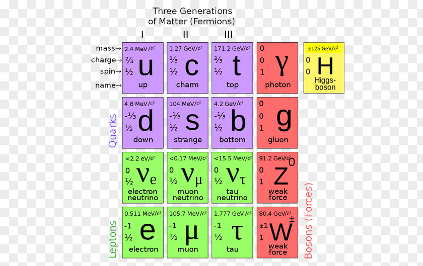 Field Particle Physics Standard Model Elementary Higgs Boson PNG