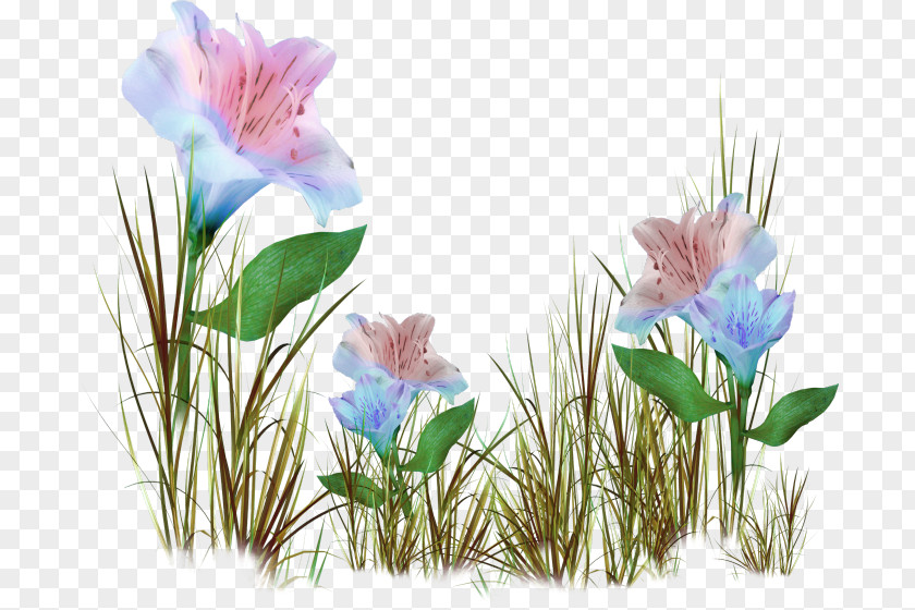 Flower Frankie Stein Floral Design PNG