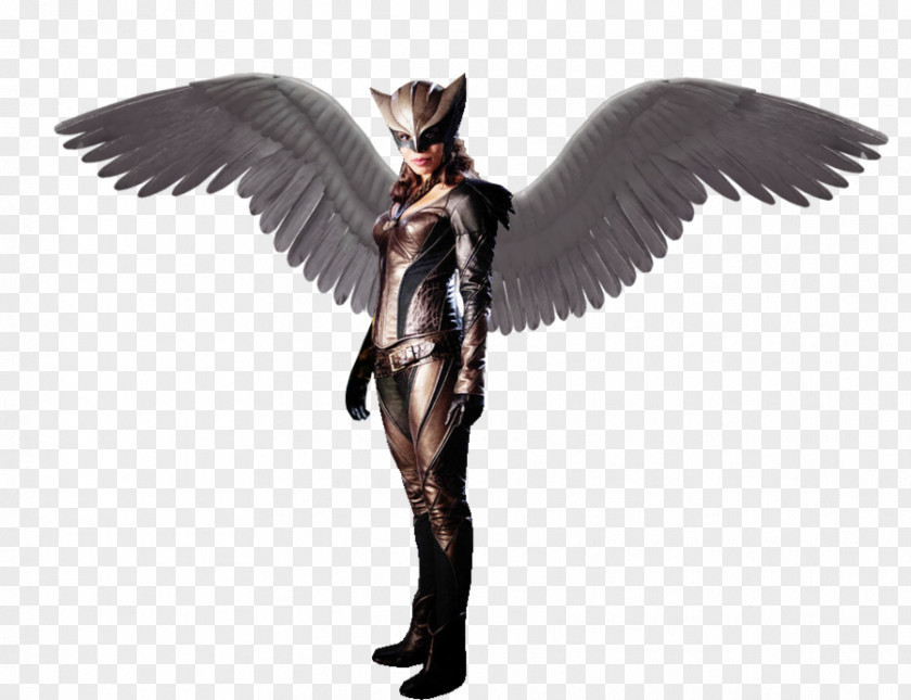 Hawkgirl Hawkman (Katar Hol) Doomsday PNG