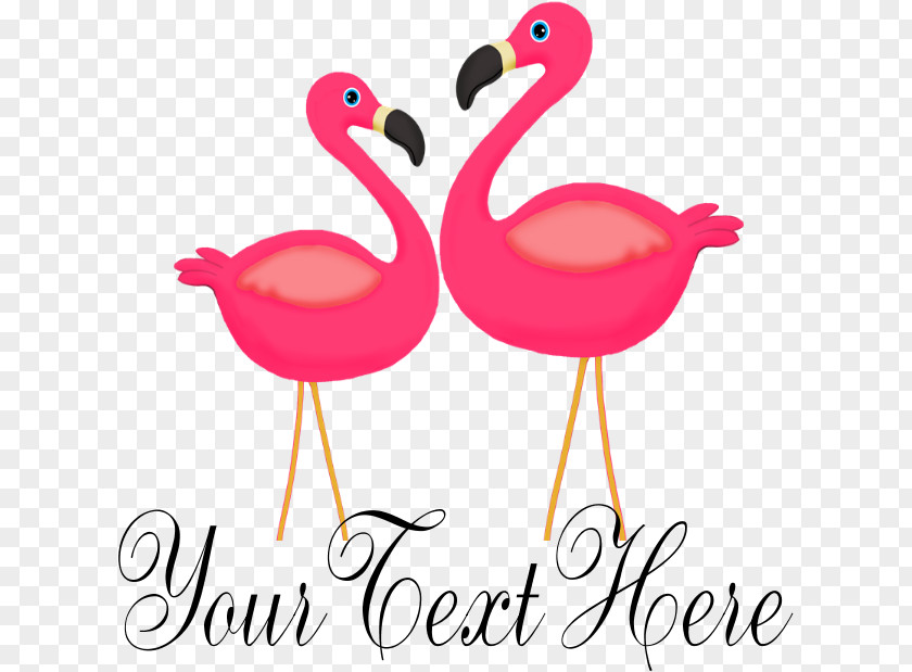 Love Beak Pink Flamingo PNG