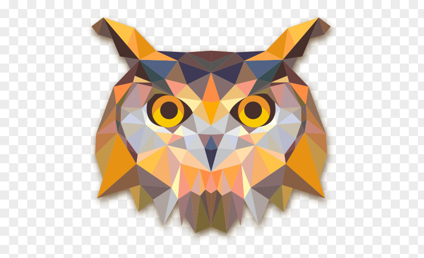 Owl Baby Owls Geometry Bird PNG