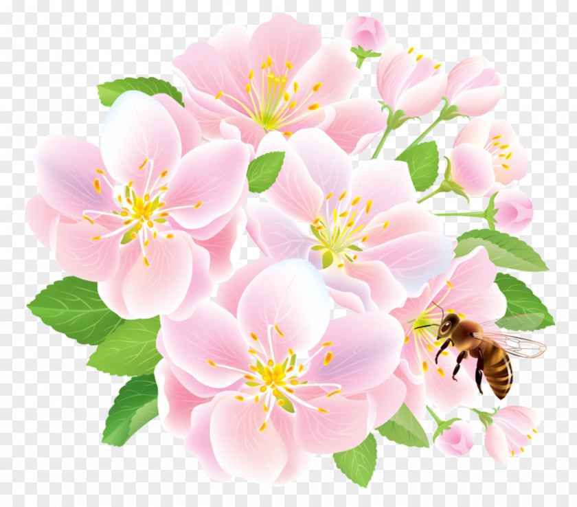 Pink Spring Flowers With Bee Flower Delivery Floristry Studio Ghibli PNG