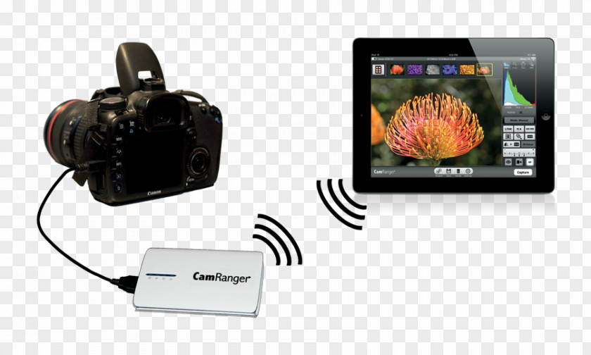 Canon Vs Nikon Beginner Digital SLR Remote Controls Wireless Camera Wi-Fi PNG