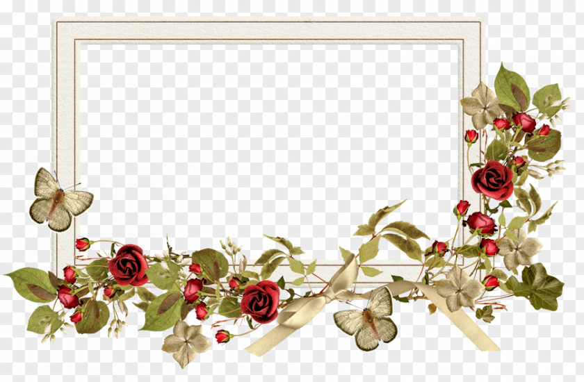 Flower Floral Design Picture Frames Wreath Garden Roses PNG