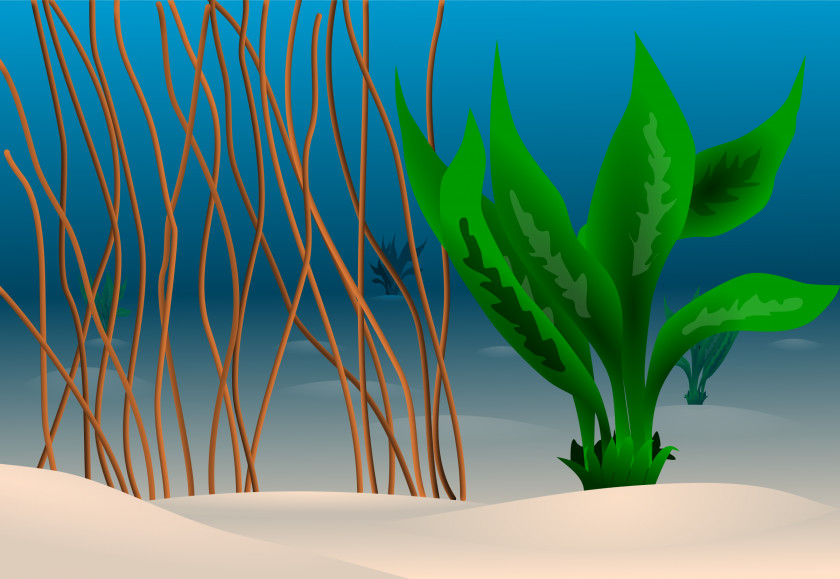 Sea Plants Cliparts Seabed Ocean Underwater Clip Art PNG