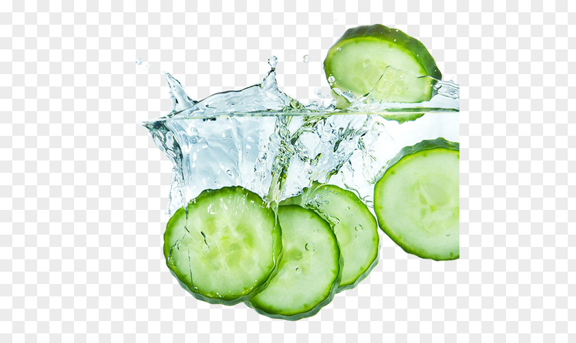 Cucumber Distilled Water Stock Photography Vegetable PNG