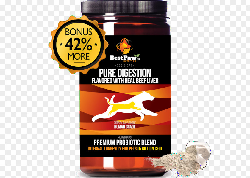Health Dietary Supplement Probiotic Digestive Enzyme Prebiotic Digestion PNG