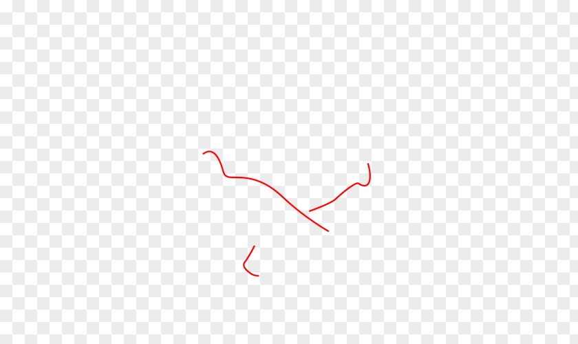 SMALL BIRD Line Point Angle PNG