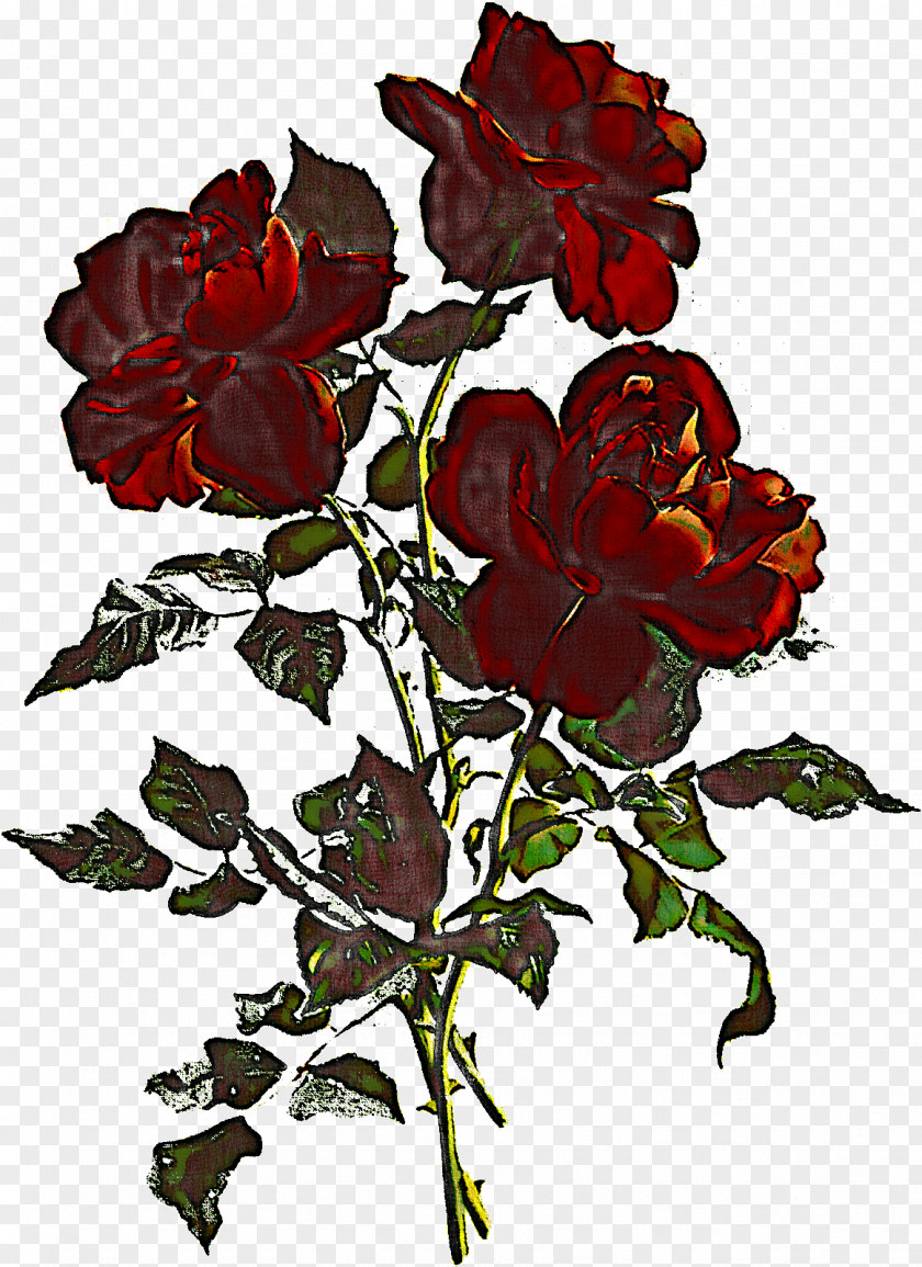 Three Flowers Roses Stem PNG