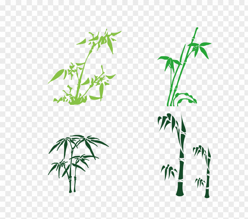 Various Forms Of Bamboo Vector Material PNG